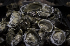Coffin-Bay-Oysters