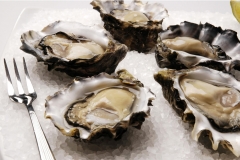 Lease-65-Oysters