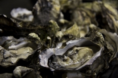 Tassie-Oysters